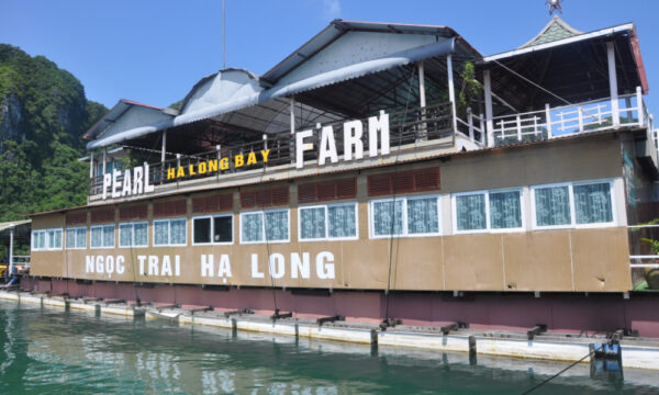 Tung Sau Pearl Farm in Halong Bay.