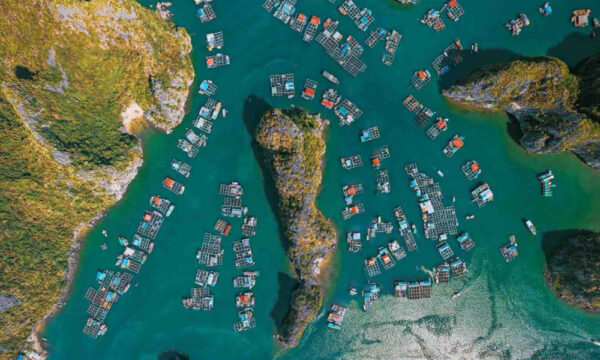 Cai Beo fishing village houses from above.