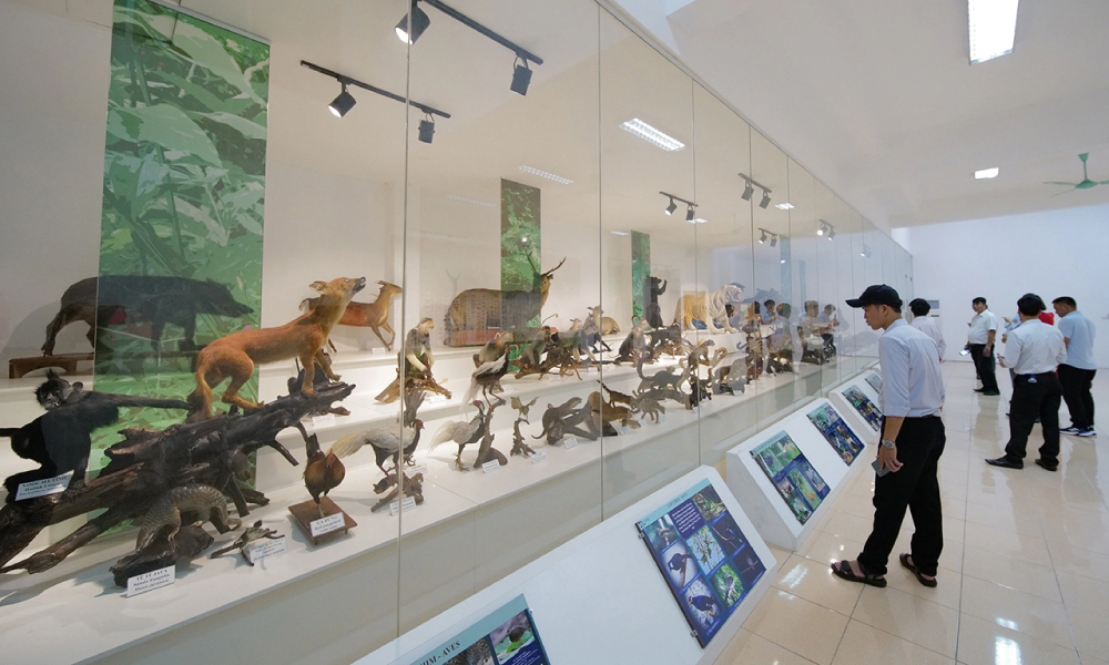 Cuc Phuong National Park museum.