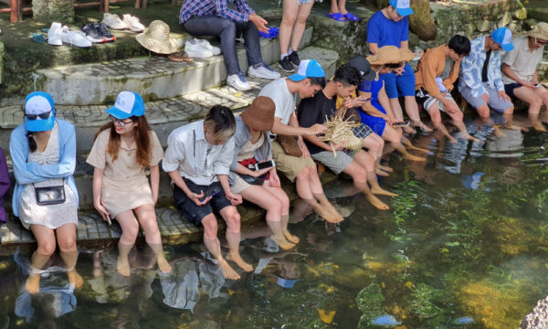 Guests trying fish massage.