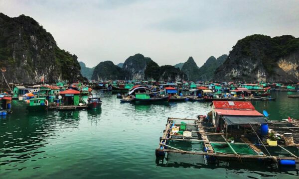 Overview of Cua Van Fishing Village.