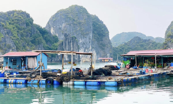 Floating houses in Cai Beo fishing village.