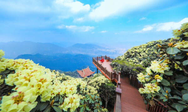 Photo spot in Fansipan Legend complex.