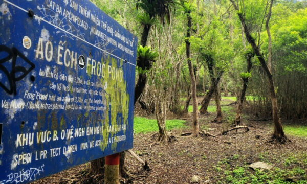 Frog Pond inside Cat Ba National Park.