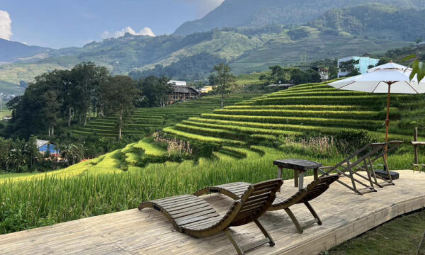 Giang Ta Chai green rice fields.