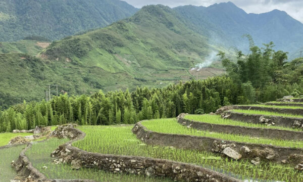 Ta Phin Village green scenery.