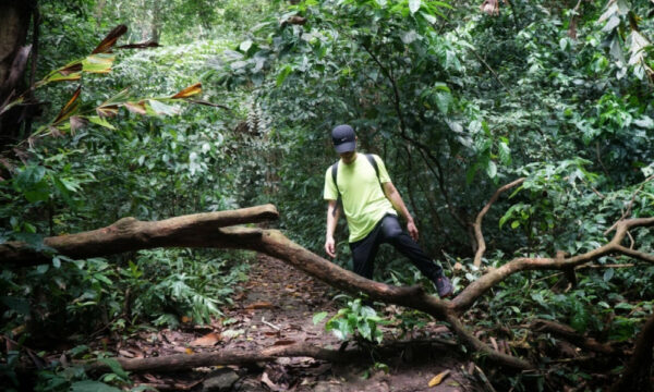 Trail in the middle of Cat Ba forest.