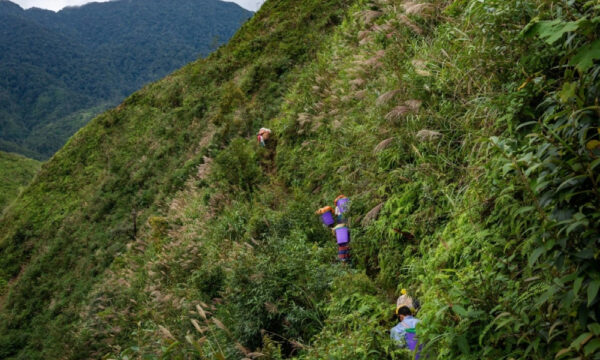 Guests climbing the mountain to Nam Kang Ho Tao peak.
