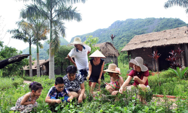 Learning how to gardening in Viet Hai Village.