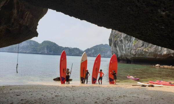 Guests with surfing boards on a beach in Frog Lagoon.