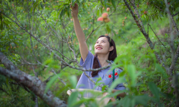 Visiting peach garden in Ma Tra Hamlet.