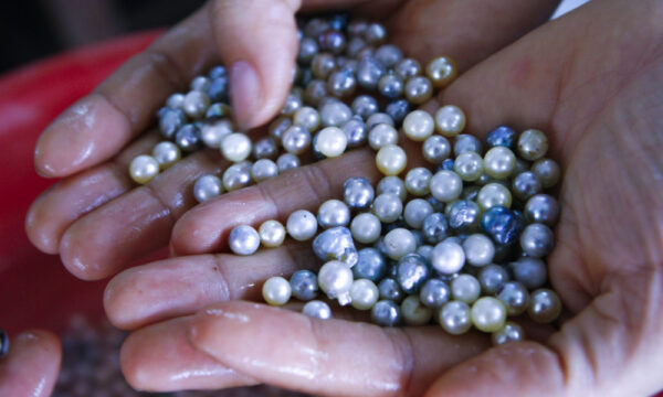 Halong bay pearls from Tung Sau Pearl Farm.