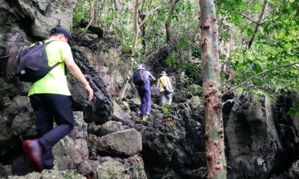 Hiking in Cat Ba National Park.