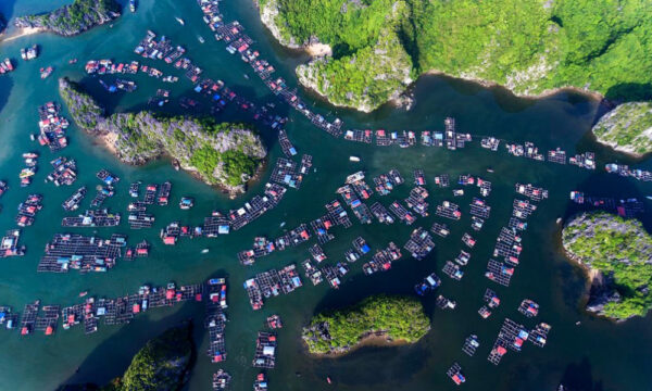 Cai Beo fishing village from above.