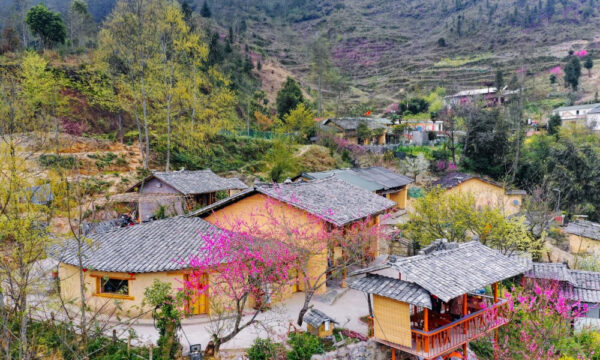 Local homestays in Quan Ba.