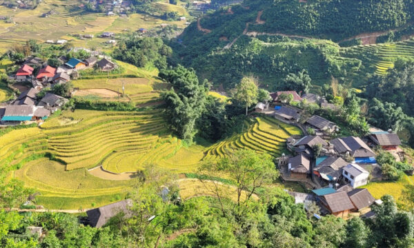 Houses amidst Sin Chai terraced fields.