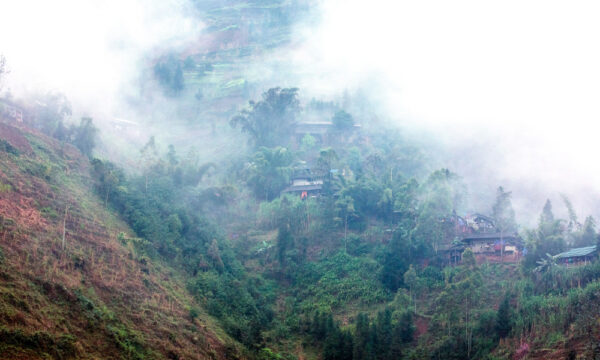 Houses on Nho Que River banks.