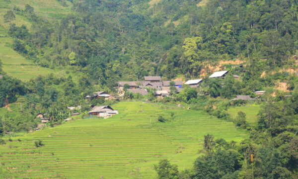 Houses on the hills on Ban Ho commune.