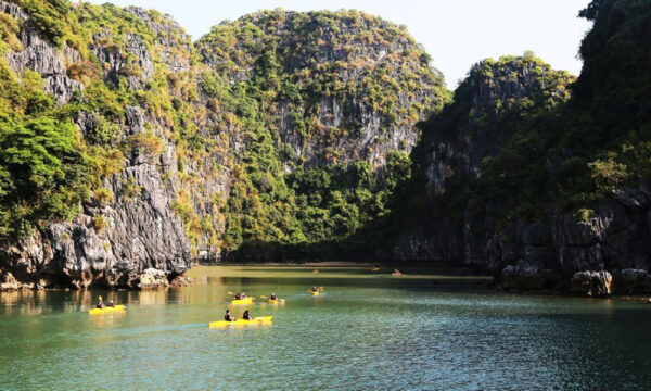 Overview of the Frog Lagoon.