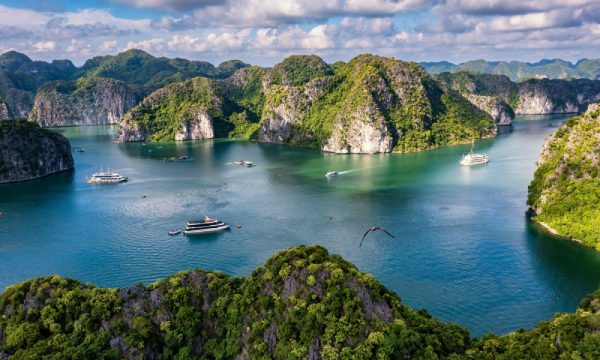 View of Lan Ha Bay with islands and cruises on the water.