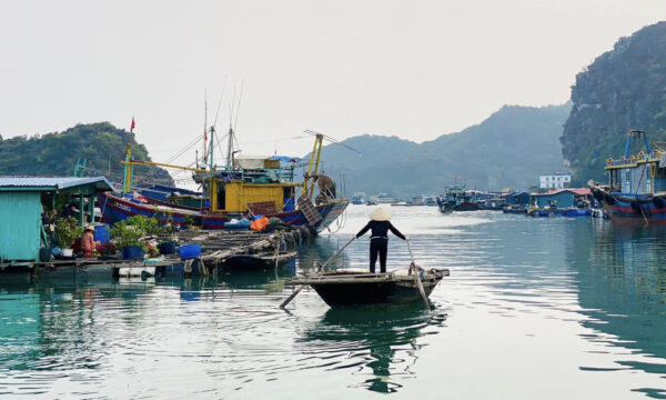 Sailing bamboo boat in Cai Beo Fishing Village.
