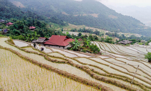 Terraced fields in Khuoi My Village during water season.