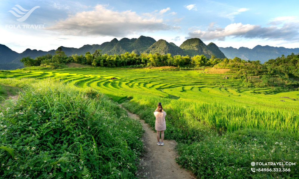 Mai Chau rice fields.