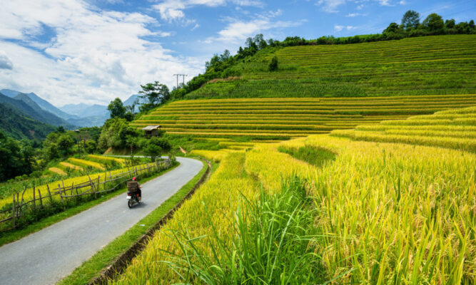 Motorbike ride through Nam Cang Village in Sapa.