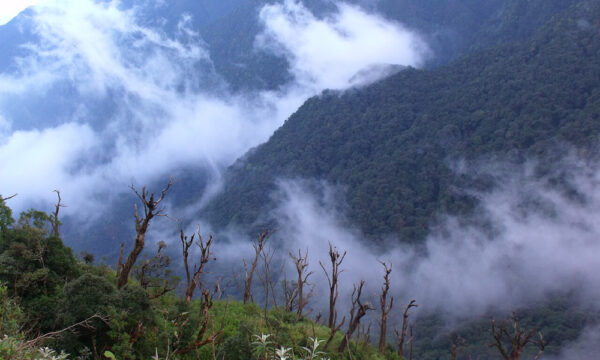 Mountains in Hoang Lien National Park.