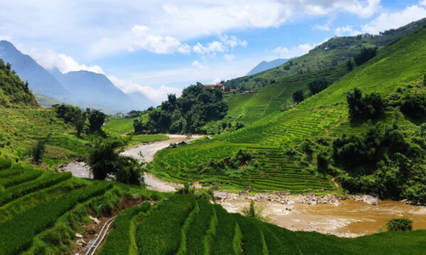 Close up of Muong Hoa Stream.
