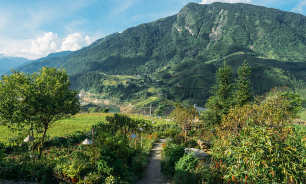 Nature in Nam Cang Village.