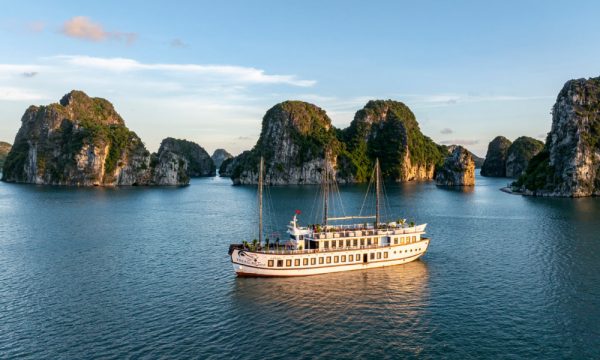 Cruises in Bai Tu Long Bay.
