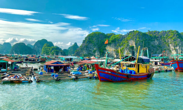 Boats and houses in Cai Beo Fishing Village.