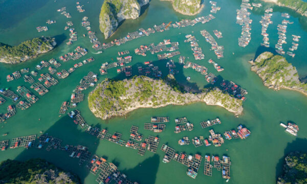 Fishing villages in Cat Ba.