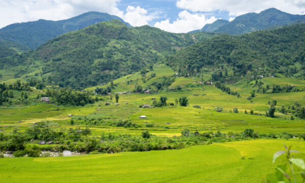 Green rice terraces in Nam Cang Village, Sapa.