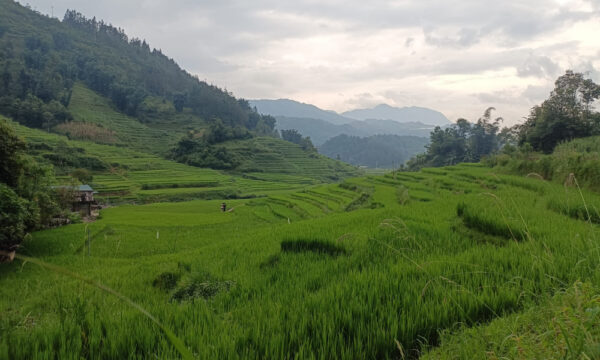 Mountains and fields of Ta Phin Village.