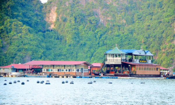 Overview of Tung Sau Pearl Farm.