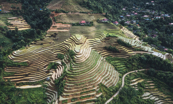 Terraced fields in Khuoi My Village during water season.
