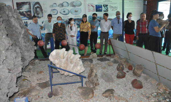 Pearl display in Tung Sau Pearl Farm.