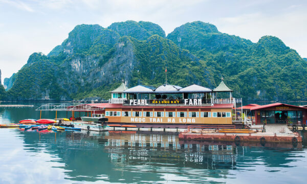 Tung Sau Pearl Farm kayaking area.