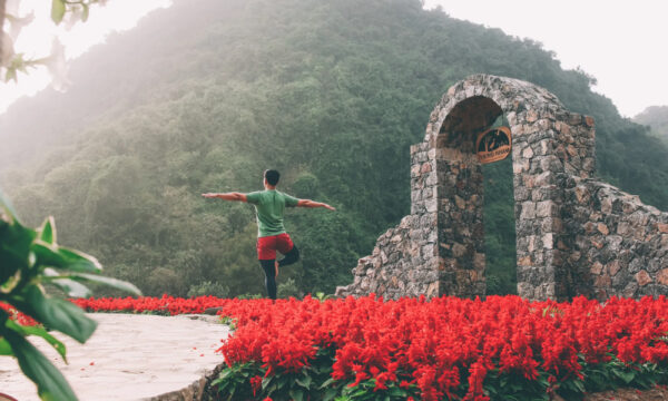 Flower garden in Thung Nham Eco-tourism Park.