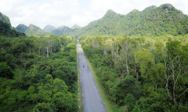 Road through Cat Ba Island.