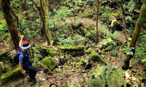 Guests hike through Cat Ba National Park.