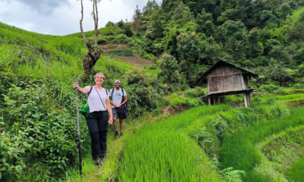 Guests trekking on Sin Chai terraces.