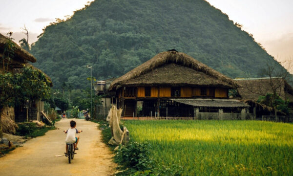 Life in Tha Village.