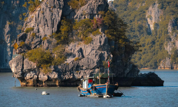 Boat travels around Tra Bau Fishing Village.
