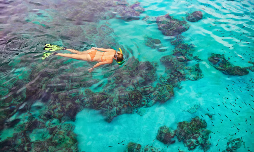 Person snorkeling in the bay.