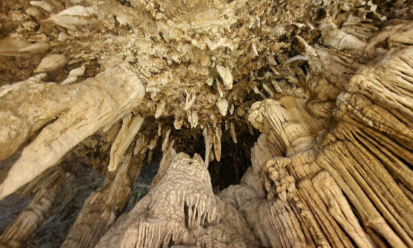Stalactites from the ceiling in Lung Khuy Cave in Ha Giang.