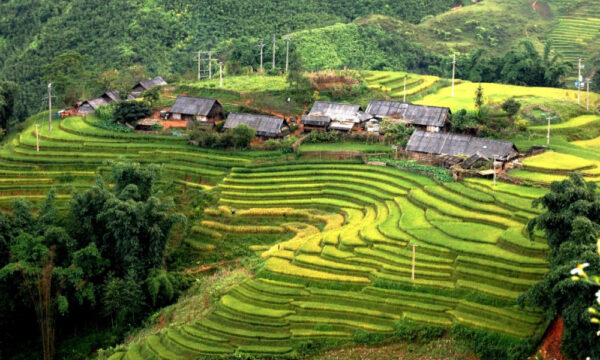 Stilt houses in Ban Ho Sapa.