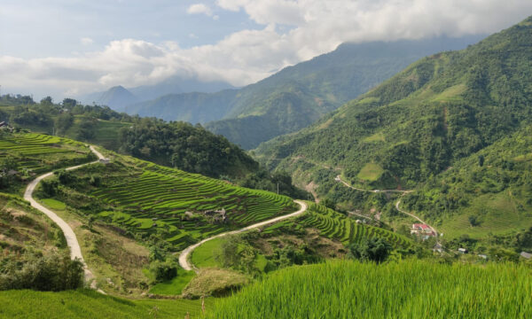 Terraced fields and roads through Lao Chai - Ta Van Villages.